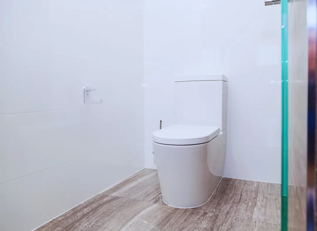 Remplacement de wc Lignan-de-Bordeaux